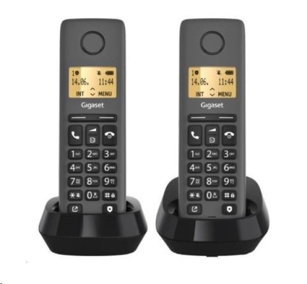 Gigaset Basic 100 Duo Black?v=1765233604