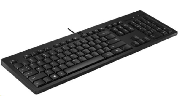 HP 125 G2 Wired USB Keyboard - ruská