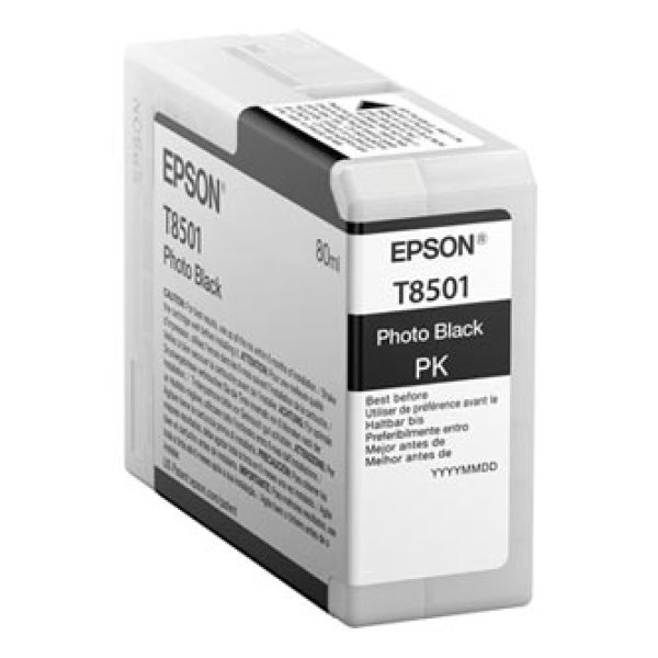 Náplň Epson C13T850100 foto černá