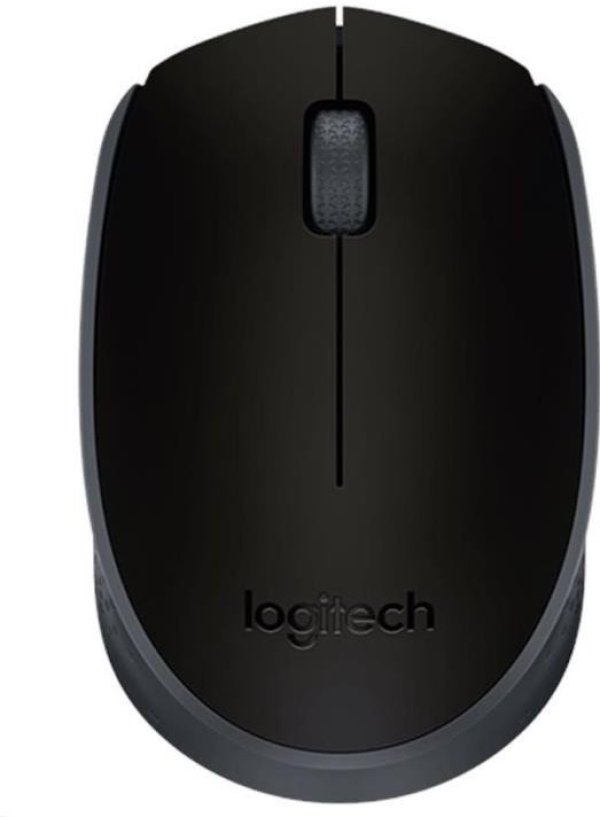 Logitech M171/Kancelářská/Optická/Bezdrátová USB/Černá