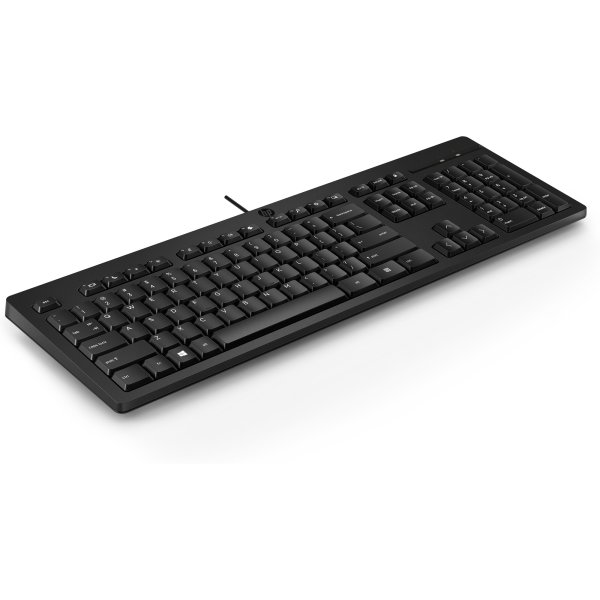HP 125 Wired Keyboard - Anglická