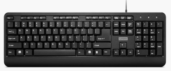 Lenovo 160 Wired  Keyboard