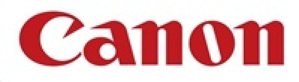 Toner Canon C-EXV20 černý