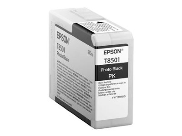 Náplň Epson C13T850100 foto černá