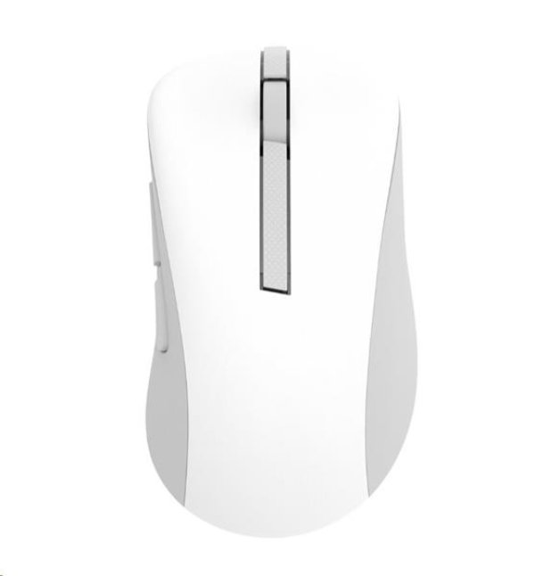 ASUS Wireless Mouse MD102/Kancelářská/Optická/Pro praváky/1 600 DPI/USB+BT/Bílá