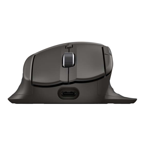 HP Ultra-Fast Scroll Wireless Mouse 785M