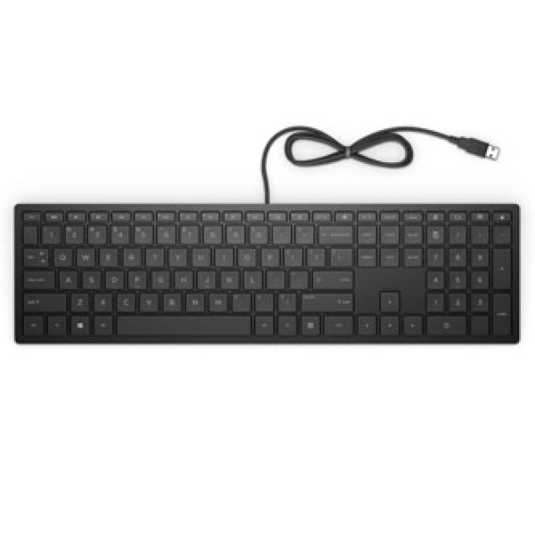 HP Pavilion Keyboard 300/Drátová USB/CZ-Layout/Černá