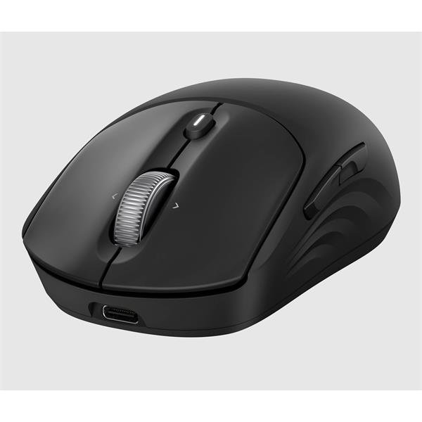 HP 705 Rechargeable Wireless Mouse?v=1764920548
