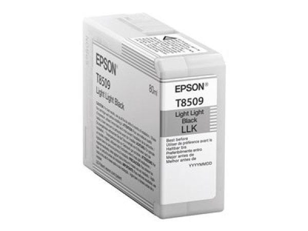 Náplň Epson C13T850900 světle světle černá
