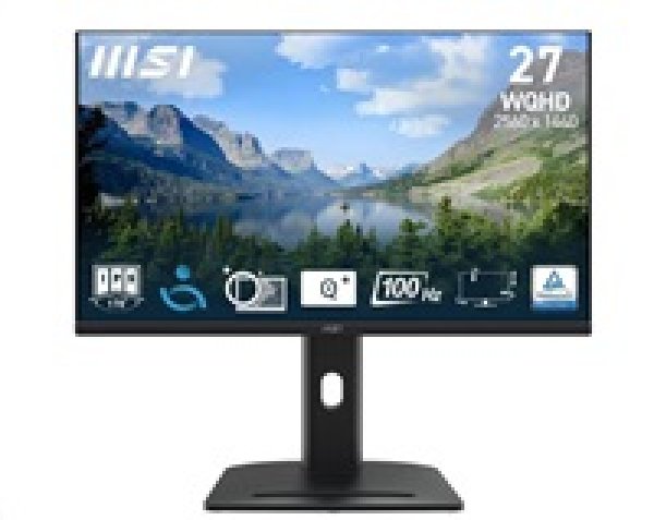 MSI LCD PRO MP275QPG, 27" 2560x1440, IPS, 100Hz, 4ms, VESA 100x100mm, N/A, Black?v=1750075202