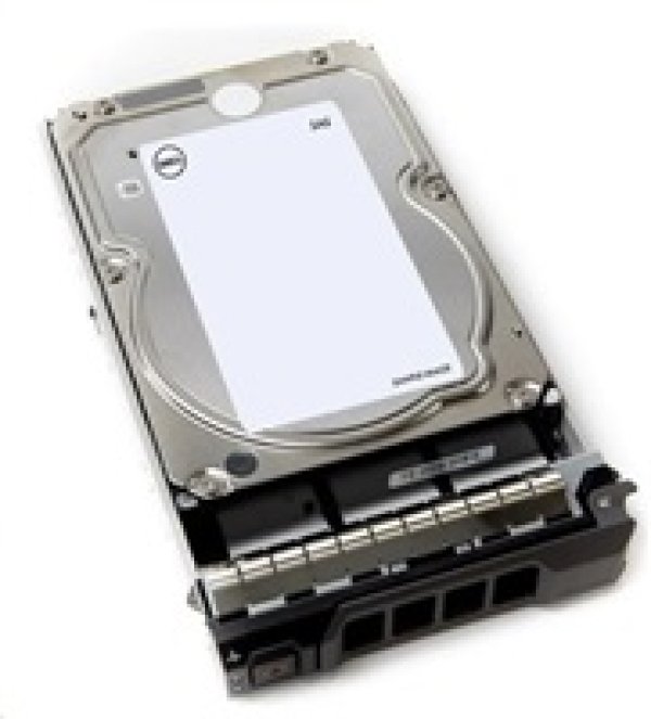 DELL HDD 4TB Hard Drive NLSAS 12Gbps 7.2K 512n 3.5in Hot-Plug Customer Kit?v=1756503606