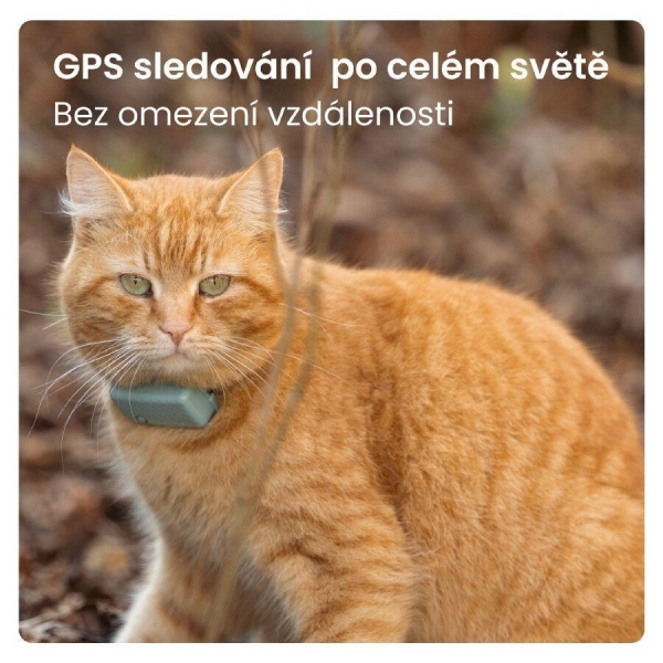 Tractive GPS CAT Mini, Mentolová