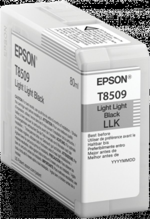 Náplň Epson C13T850900 světle světle černá