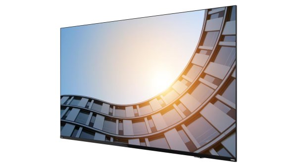 Lenovo ThinkViosion E65 64,5''/16:9/3840x2160/8ms?v=1750831204