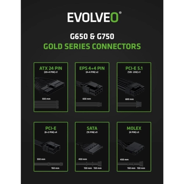 EVOLVEO G650,zdroj650W,ATX3.1,14cm,aPFC,80+GOLD,3YRW