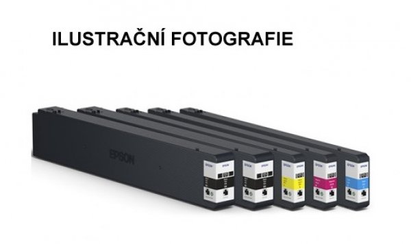 Náplň Epson C13T02S200 azurová