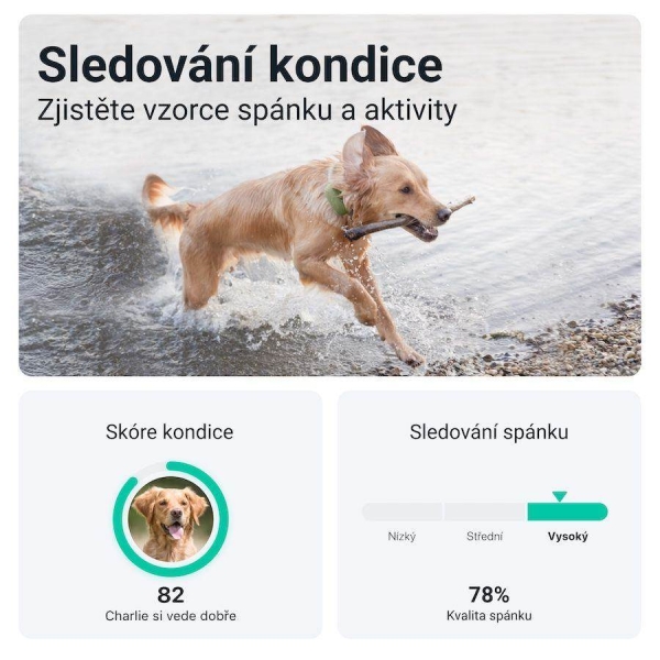 Tractive GPS DOG XL – sledování polohy a aktivity pro psy - zelený