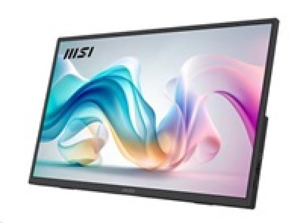 MSI Pro/MP165 E6/15,6''/IPS/FHD/60Hz/4ms/Black/2R