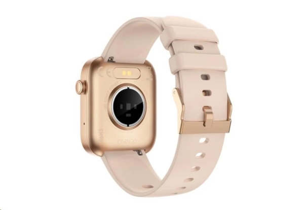 CARNEO Zenith HR+ gold