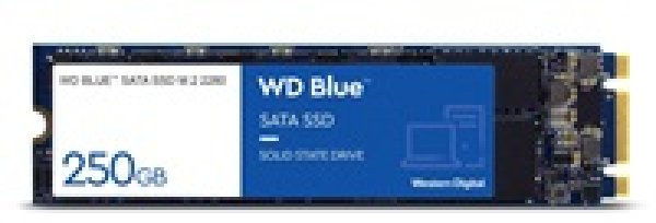 WDC BLUE SA510 SSD WDS500G3B0B 500GB M.2 2280 3D NAND (560/510MB/s, 90000/82000 IOPs, SSD, 3D NAND)