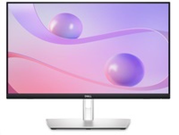 24'' LCD Dell P2424HT Touch 5ms/16:9/matný/USB-C