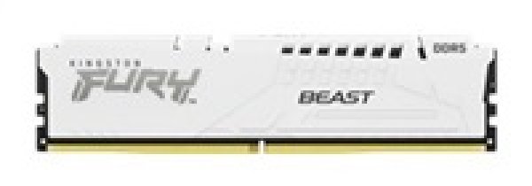 Kingston FURY Beast EXPO/DDR5/16GB/5600MHz/CL36/1x16GB/White