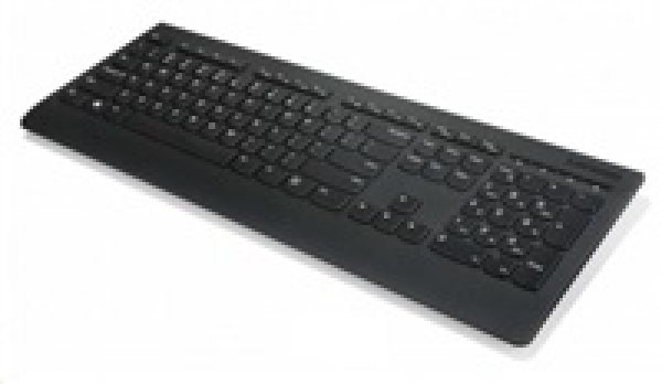 Lenovo Professional/Bezdrátová USB/CZ-Layout/Černá