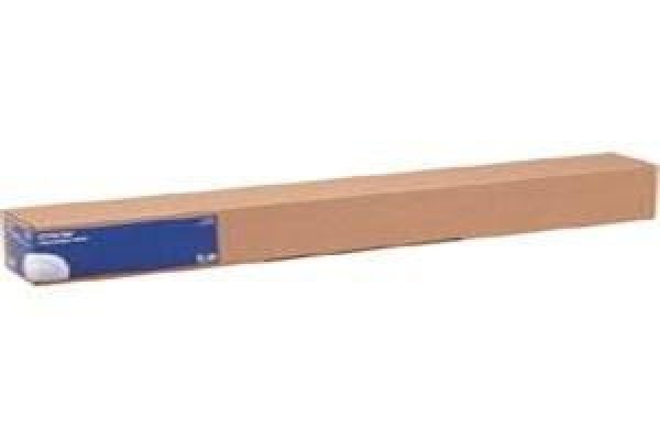 Epson - Matný - Role (43,2 cm x 12,2 m) 1 role umělecký papír - pro SureColor P5000, P800, SC-P10000, P20000, P5000, P7500, P900, P9500?v=1759391709