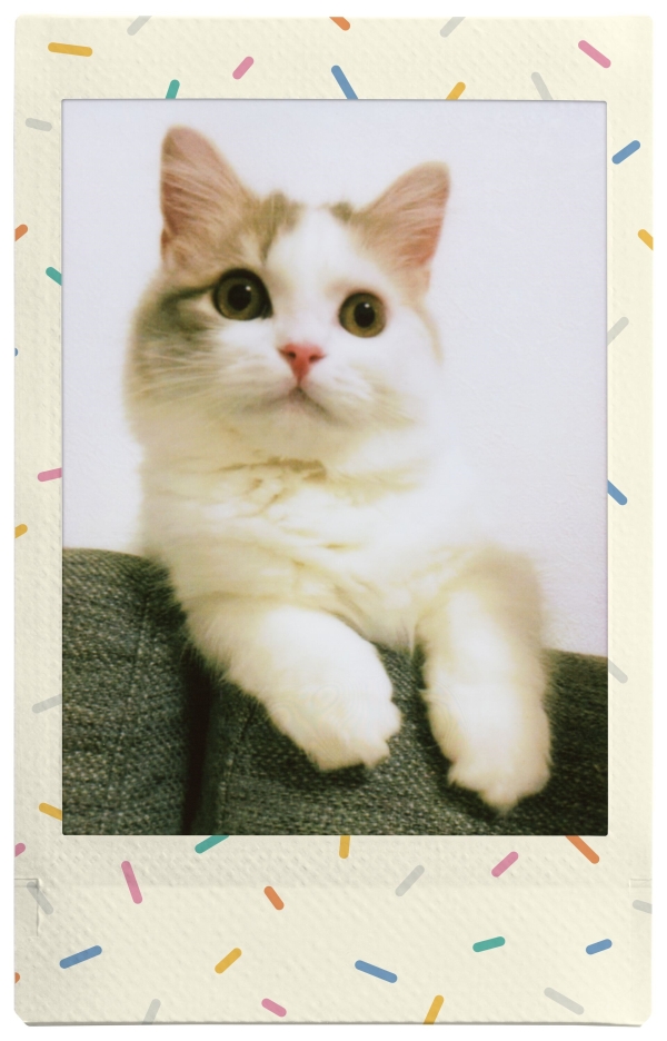 Fujifilm Film Instax Mini Sprinkles