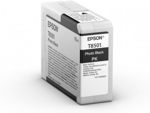 Náplň Epson C13T850100 foto černá