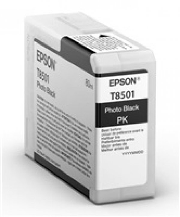 Náplň Epson C13T850100 foto černá