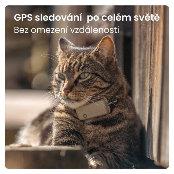 Tractive GPS CAT Mini, Hnědá