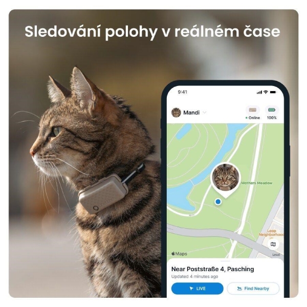 Tractive GPS CAT Mini, Hnědá