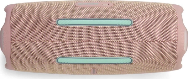JBL Charge 6 Pink