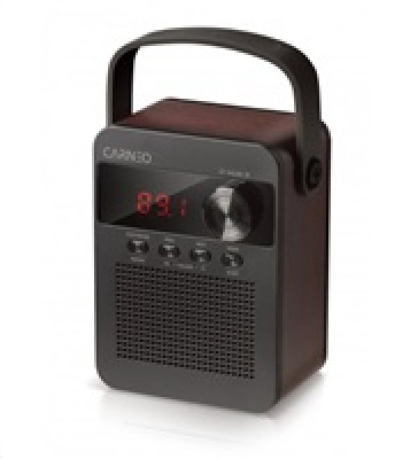 CARNEO F90 FM rádio, BT reproduktor, black/wood