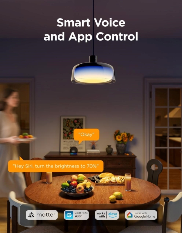 Govee Pendant Light RGBICWW závěsná lampa Matter