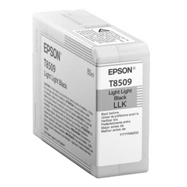Náplň Epson C13T850900 světle světle černá