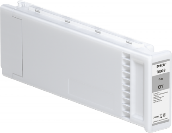 Náplň Epson C13T800900 šedá