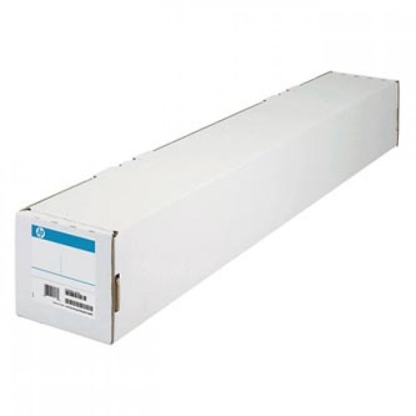 HP Professional Matte Canvas - Matný - 22 mil - Role (91,4 cm x 15,2 m) - 390 g/m2 - 1 role umělecký papír - pro DesignJet 5000, 5500, Z2100, Z3100, Z3200, Z5200, Z5400, Z6100, Z6200, Z6600, Z6800