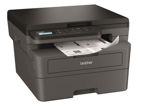 Tiskárna BROTHER DCP-L2600D (DCPL2600DYJ1)