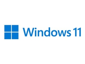 Windows 11 Pro - Licence - 1 licence - OEM - DVD - 64 bitů - čeština