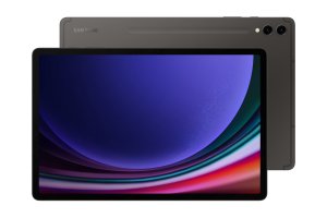Samsung GalaxyTab S9 Ultra SM-X916 5G 512GB Gray