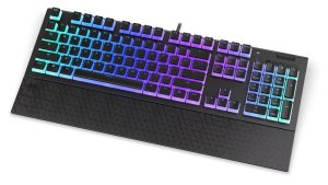 Endorfy herní klávesnice Omnis Pudd.Kaihl BL RGB /USB/ blue switch / drátová / mechanická / US layout / černá RGB