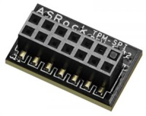 ASRock TPM-SPI
