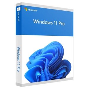 MICROSOFT Windows 11 Pro 64-bit DE DVD OEM německá krabicová verze