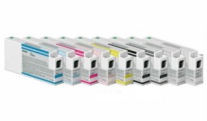 Náplň Epson C13T800000 světle šedá