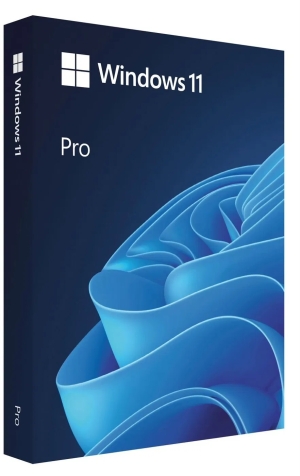 MS Windows 11  Professional FPP 64-bit Eng Intl USB