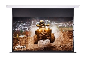 Nástěnné plátno AVELI PREMIUM,black,265x149(16:9) 120''