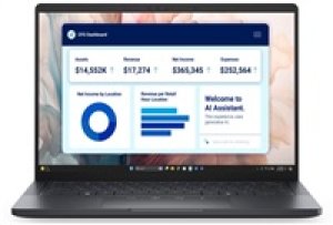 DELL NTB Pro 13 Premium PA13250/U5-236V/Evo/16GB/512GB SSD/13.4" FHD+|IR Cam & Mic/65W/Backlit Kb/W11 Pro/3Y PS NBD