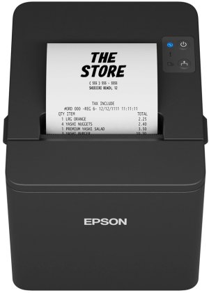 Epson TM-T20IV (101): USB + Serial, PS, Blk, EU